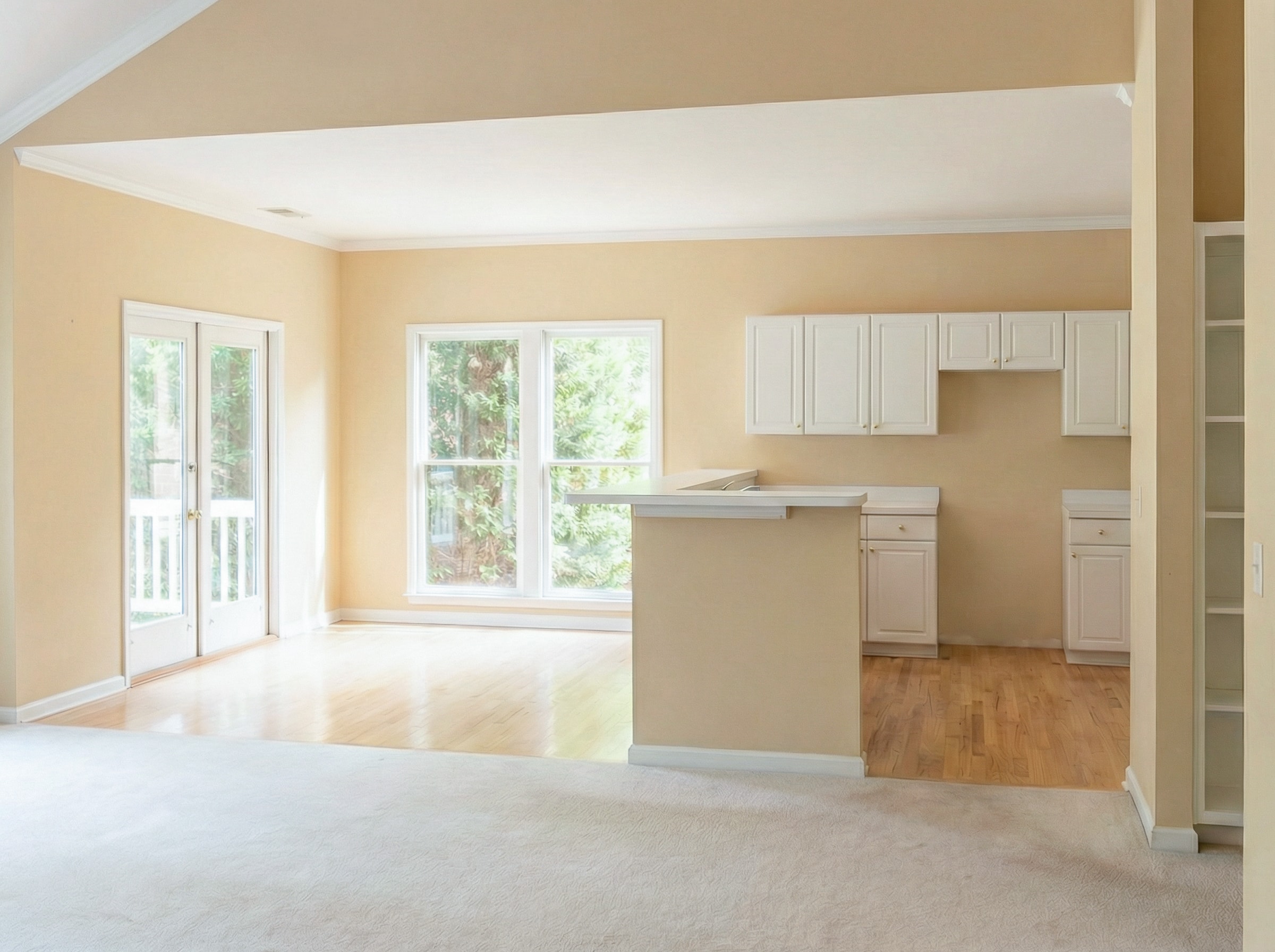 Cabinet Refinishing - Before
