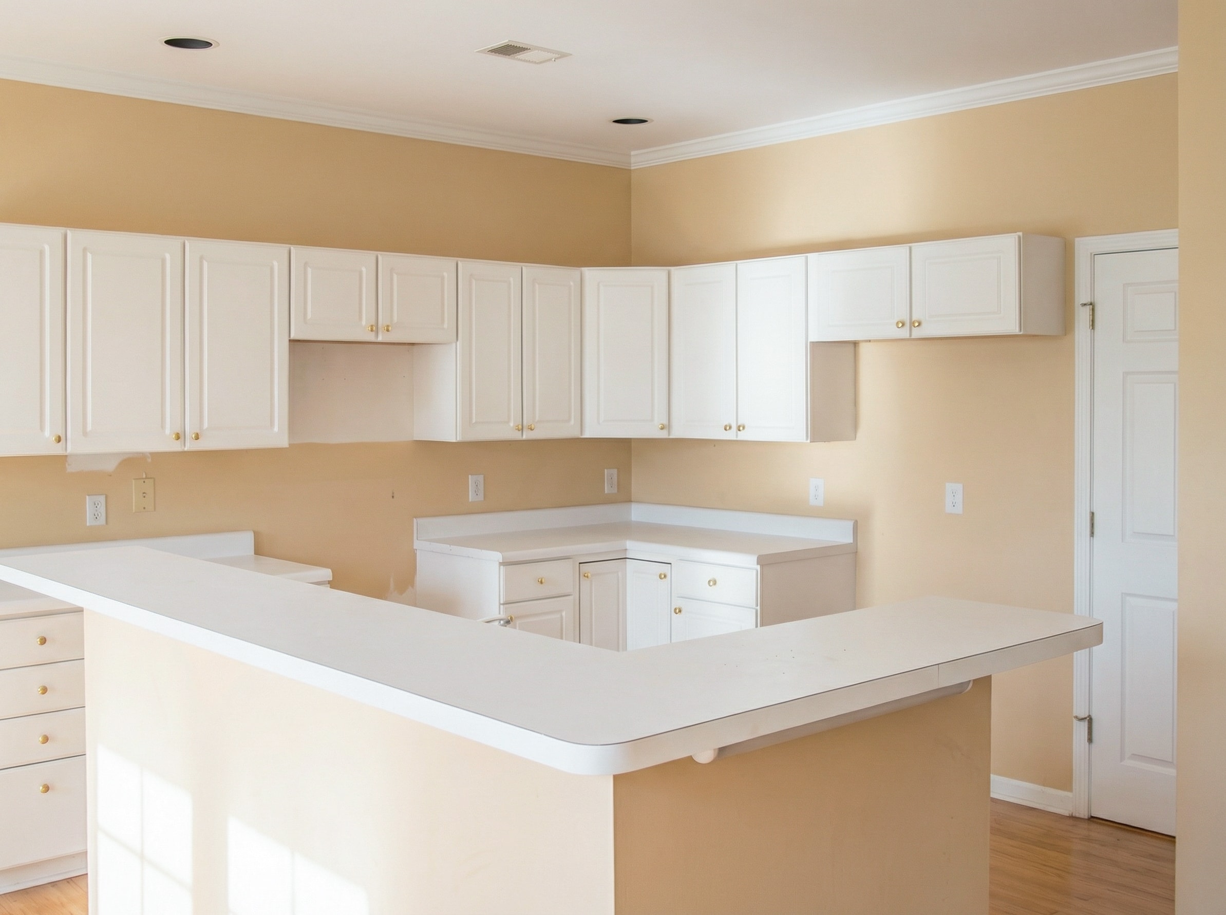 Countertop Replacement - Before